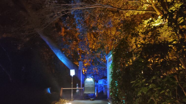 平安神宮、Naked、京都