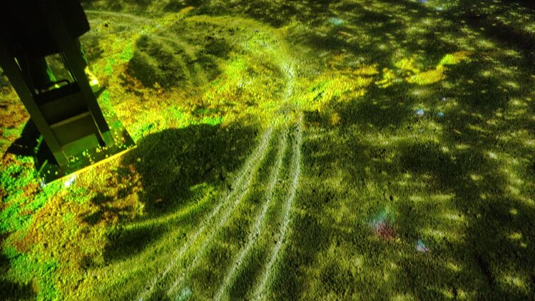 平安神宮、Naked、京都