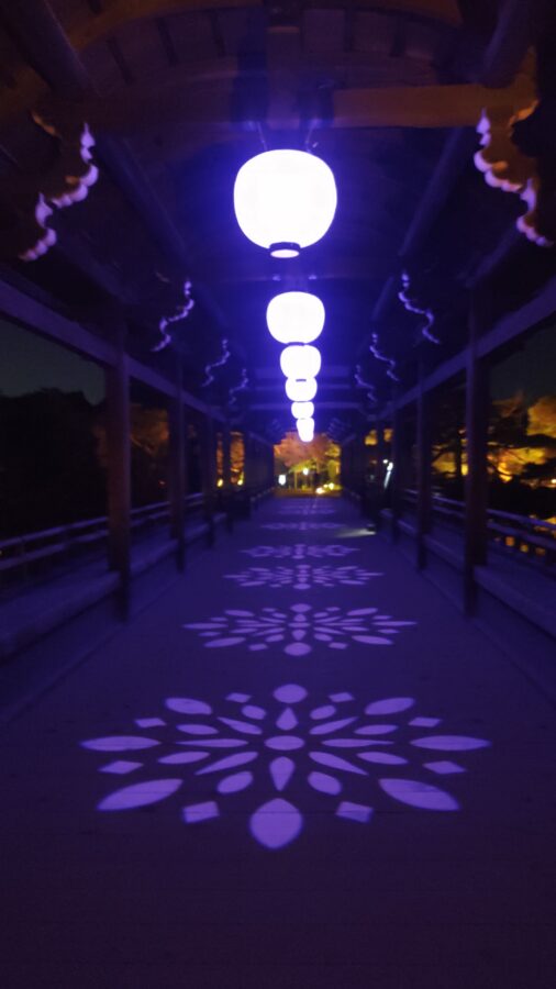 平安神宮、Naked、京都