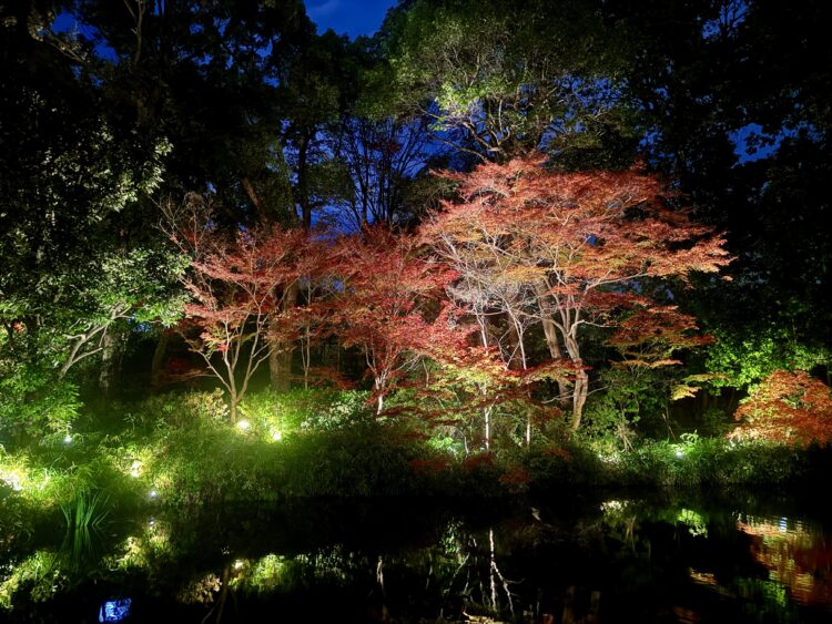 アフタヌーンティー 、フォーシーズンズホテル京都