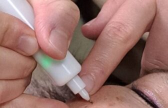 · 京橋/シミケア/СеМЬЯ (シミヤ)