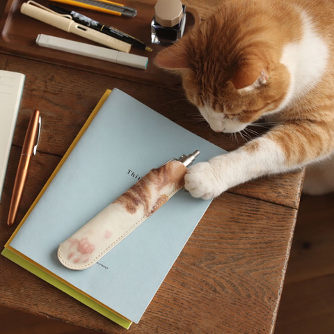猫の手ペンシース、ガッツ、ねこ
