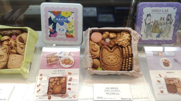 ねこの日、大丸梅田店、ねこ