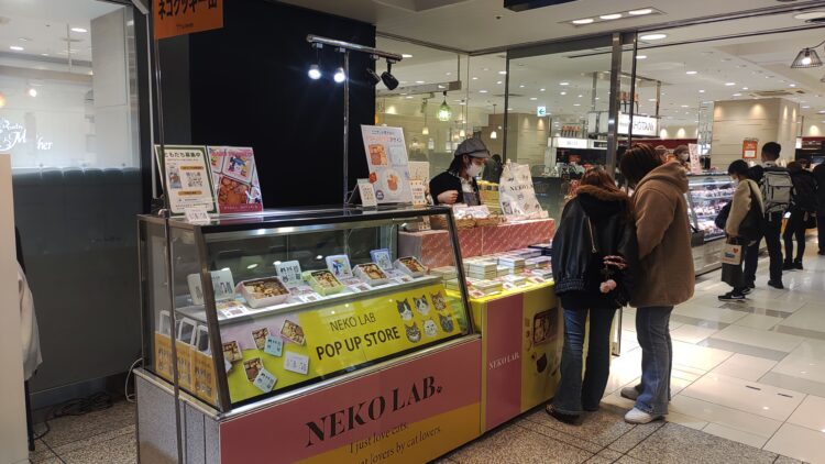 ねこの日、大丸梅田店、ねこ