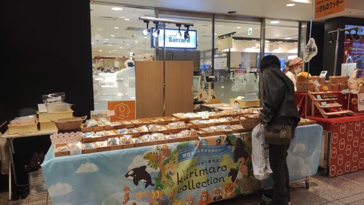 ねこの日、大丸梅田店、ねこ