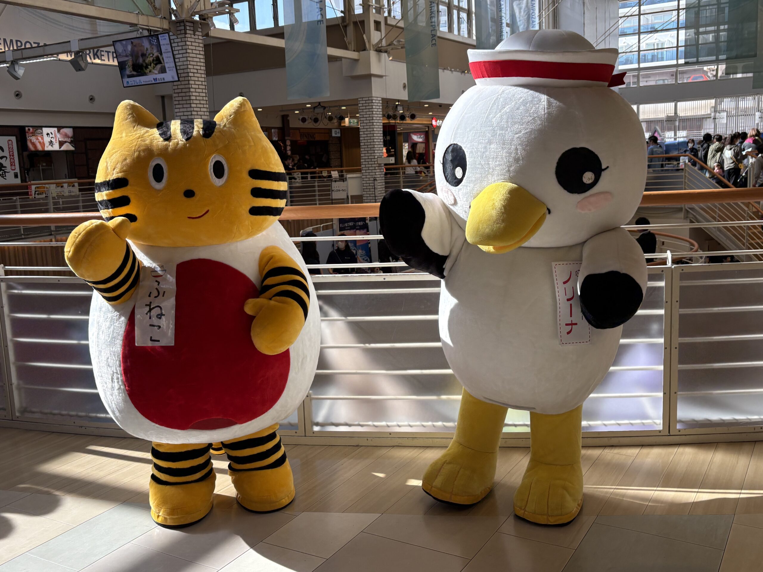 大阪市港区・天保山　やっぱり船旅フェスin天保山2026 船旅フェス　天保山マーケットプレイス　海遊館　クルーズ　船旅　ダイヤモンド・プリンセス 