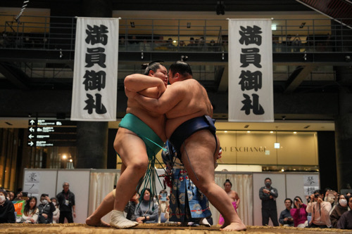 春がキタ！うめきた場所 in グランフロント大阪2026