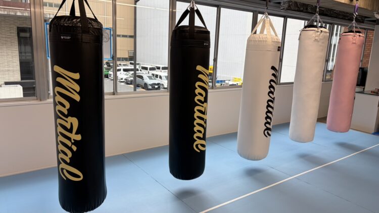 ブラジリアン柔術ジム、格闘技