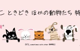 ねこの日、大丸梅田店、ねこ