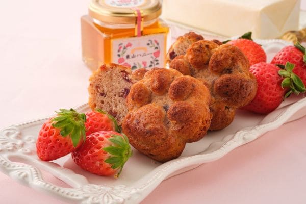 ねこの日、大丸梅田店、ねこ