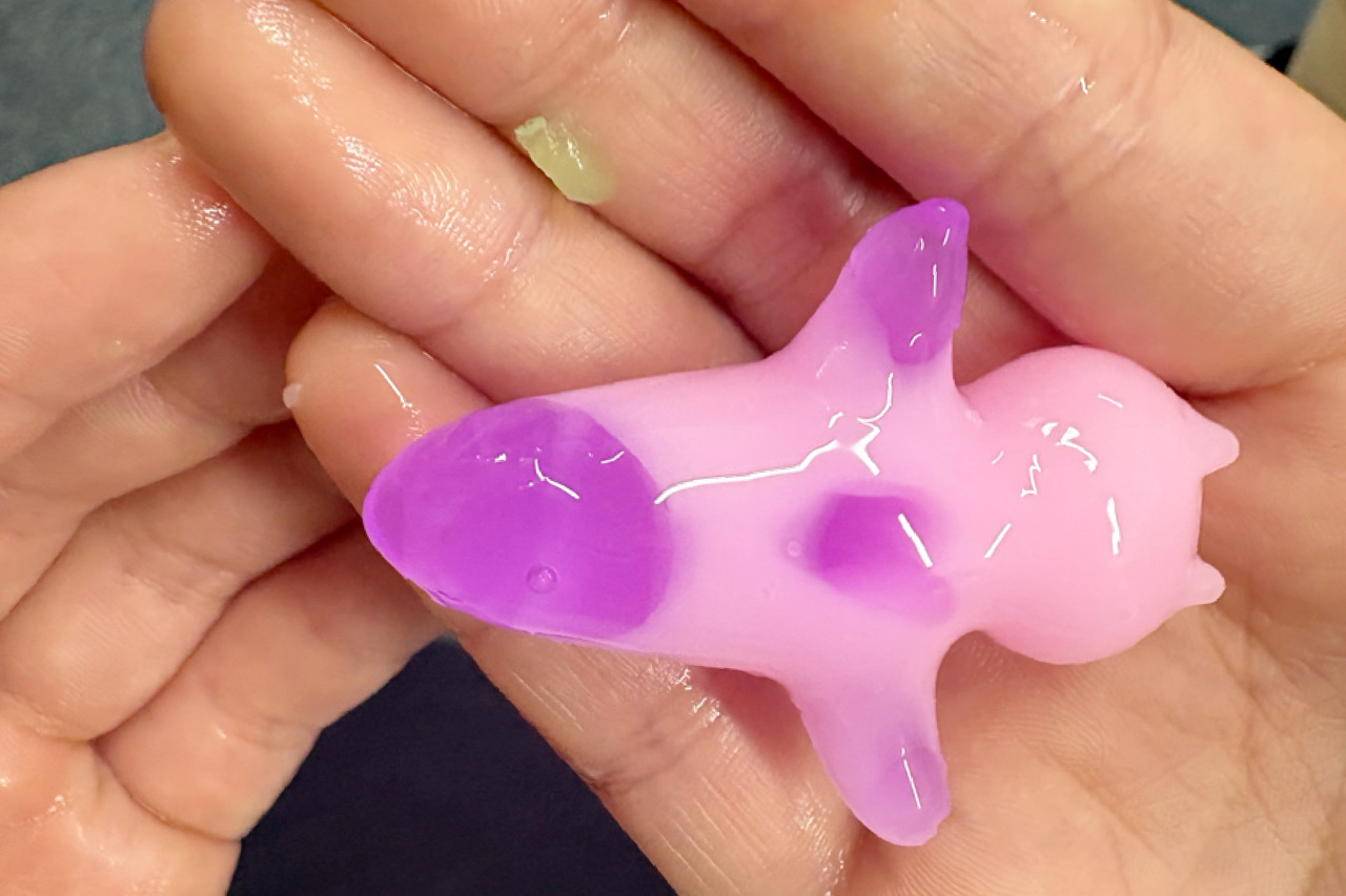 うぉーたーぷにぷに マルシェ　講師　村長　自然由来 安全 メイキングトイ おもちゃ 動物 フルーツ かわいい ぷにぷに