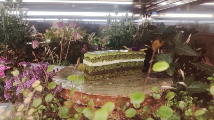 カペラ京都、シンガポール