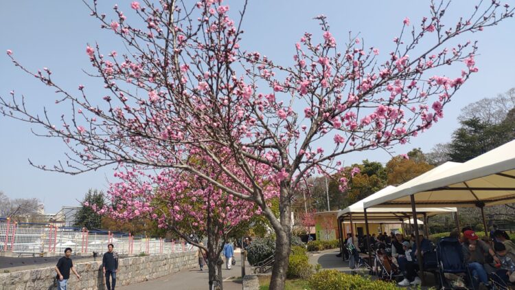 天王寺動物園、インフォメーションボード、J:COM