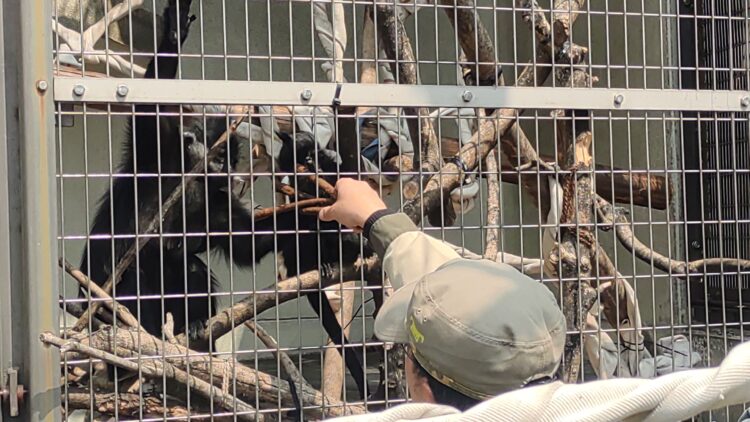 天王寺動物園、インフォメーションボード、J:COM