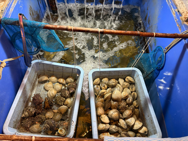弁天町　港区　波平　海鮮　海鮮居酒屋　串カツ　浜焼き　牡蠣　ホタテ　サザエ　生簀