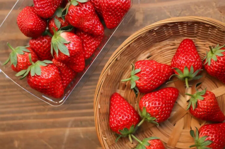 丹波産いちご、中島大祥堂