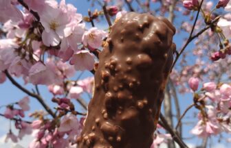 ビアードパパ、小枝シュー