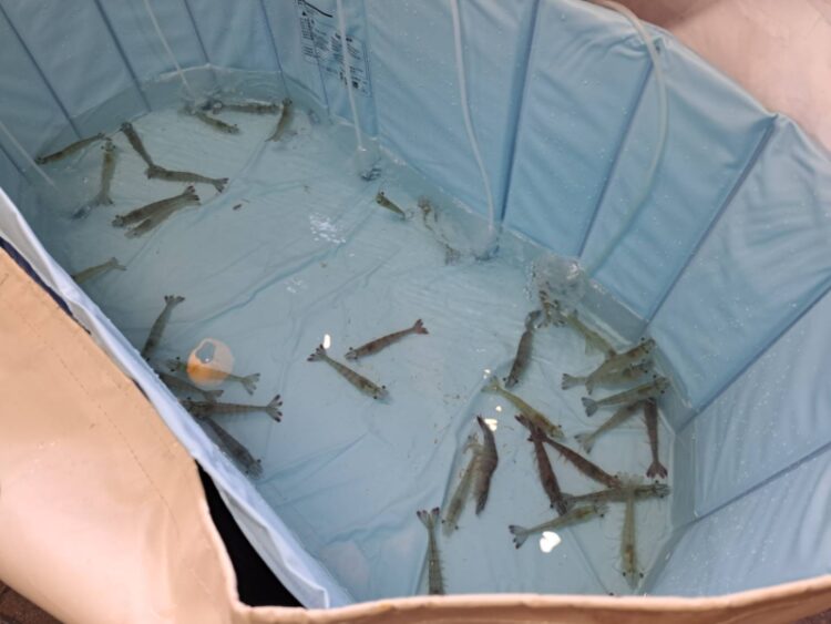 近鉄上本町ファミリービアガーデン