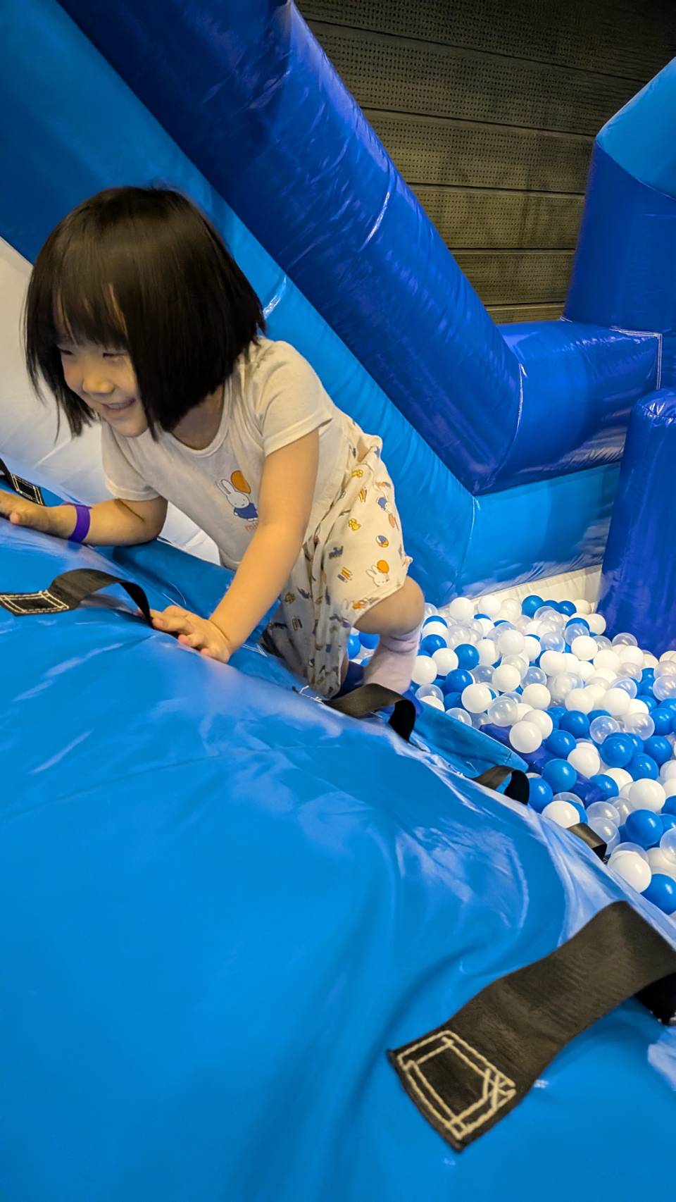 スプリングスひよし　プレイアリーナ　4歳