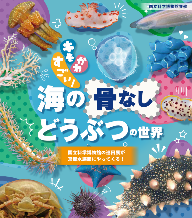 京都水族館、骨なしどうぶつ（無脊椎動物）