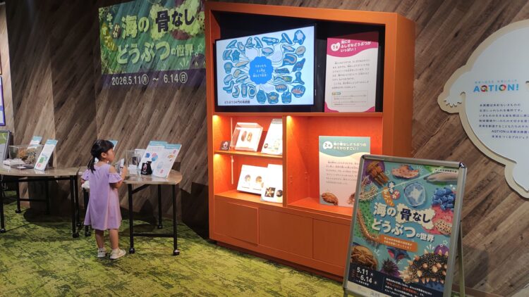 京都水族館、骨なしどうぶつ（無脊椎動物）