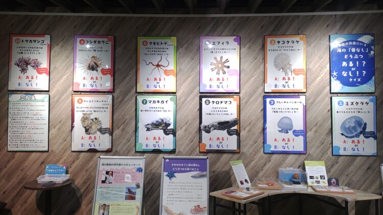 京都水族館、骨なしどうぶつ（無脊椎動物）