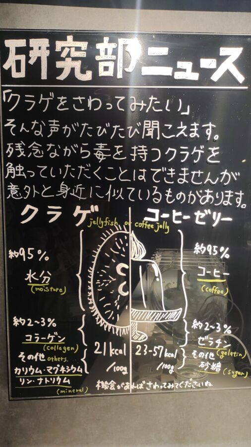 京都水族館、骨なしどうぶつ（無脊椎動物）