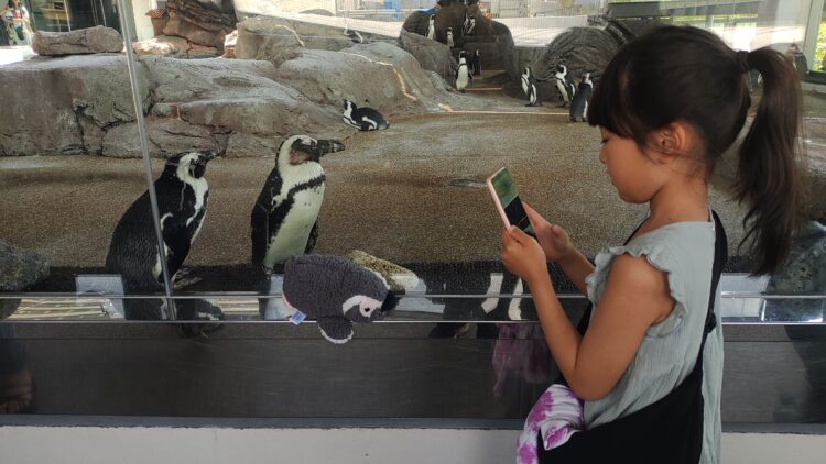 京都水族館、骨なしどうぶつ（無脊椎動物）
