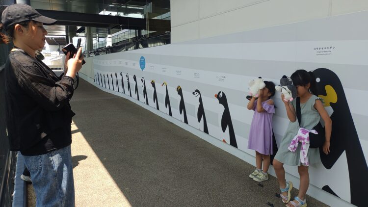 京都水族館、骨なしどうぶつ（無脊椎動物）