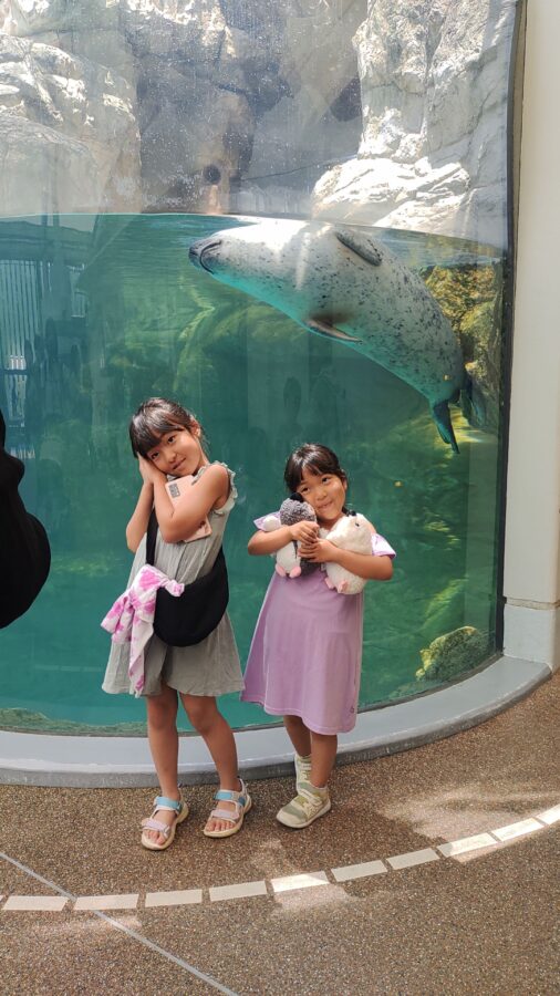京都水族館、骨なしどうぶつ（無脊椎動物）