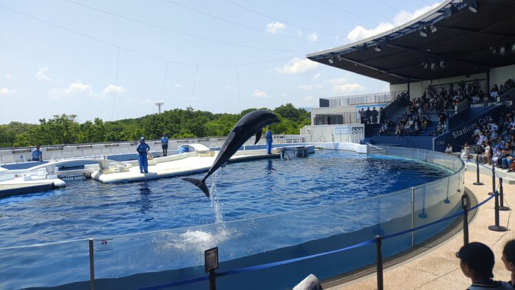 京都水族館、骨なしどうぶつ（無脊椎動物）