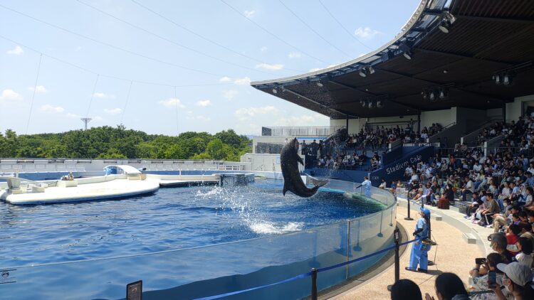 京都水族館、骨なしどうぶつ（無脊椎動物）