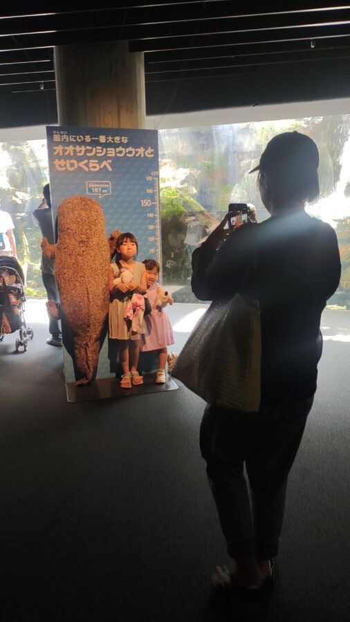 京都水族館、骨なしどうぶつ（無脊椎動物）