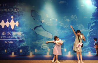 京都水族館、骨なしどうぶつ（無脊椎動物）