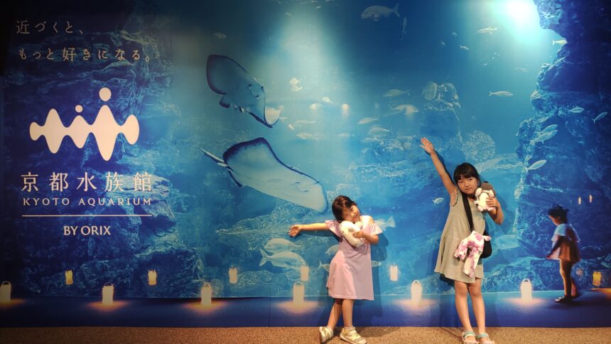 京都水族館、骨なしどうぶつ（無脊椎動物）