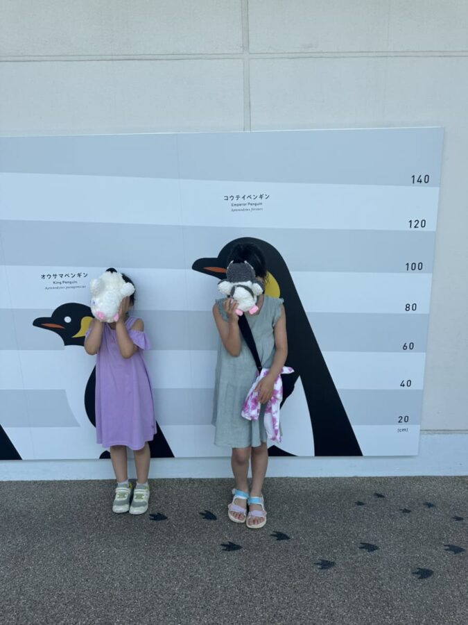 京都水族館、骨なしどうぶつ（無脊椎動物）