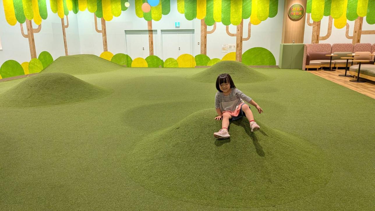 SHIBANIWA 人工芝の小山