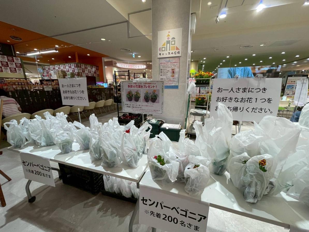 イオンモール大阪ドームシティー 13周年 イベント 花苗プレゼント