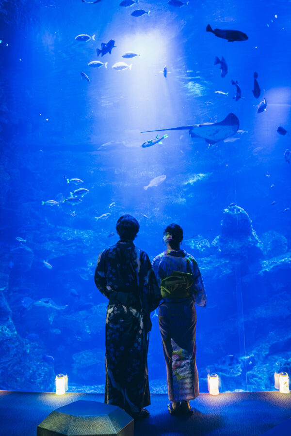 京都水族館、ナイトタイム、夜のすいぞくかん