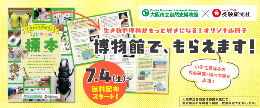 大阪市立自然史博物館、受験研究社、小冊子、標本