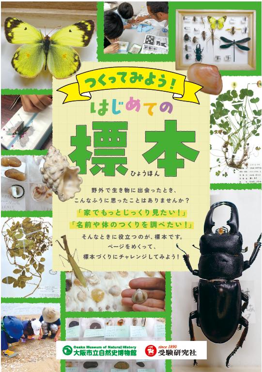 大阪市立自然史博物館、受験研究社、小冊子、標本