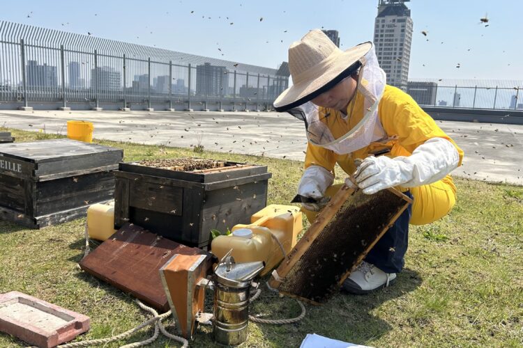 大丸心斎橋店、蜜しぼり体験、心斎橋はちみつプロジェクト