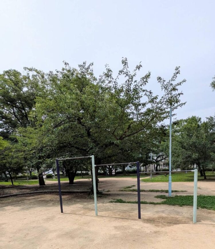 平野白鷺公園　東住吉区今川　遊具　鉄棒