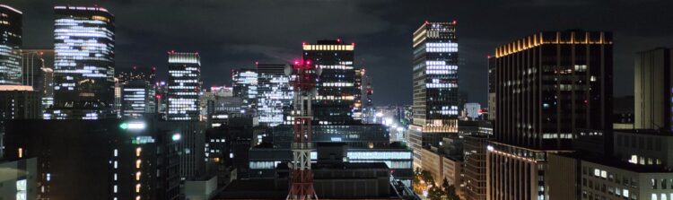 シャインマスカット、アフタヌーンティー、ハイティー、ザ ロイヤルパークホテル アイコニック 大阪御堂筋