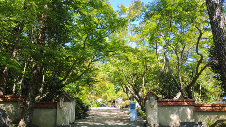 アサヒグループ大山崎山荘美術館、モネ