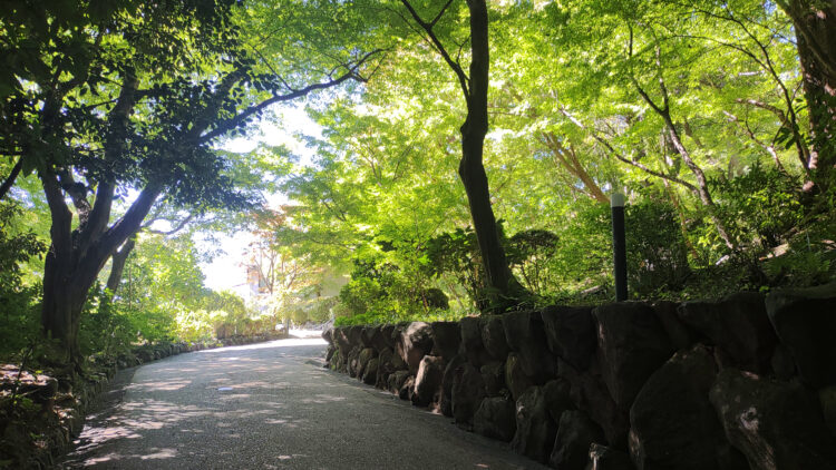 アサヒグループ大山崎山荘美術館、モネ