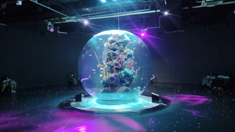 AQUARIUM、ART、atoa、アクアリウム